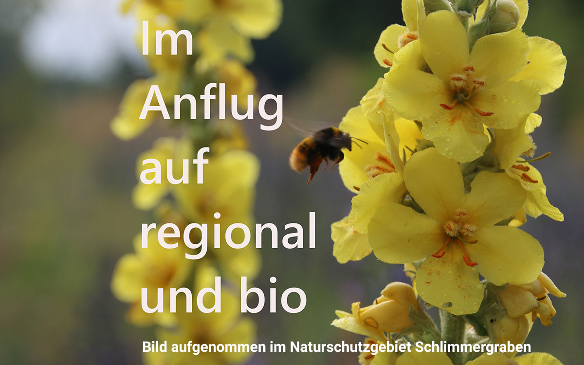 Ökomodellregion SÜD